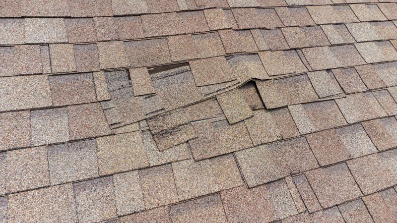 Roof Shingle Damage