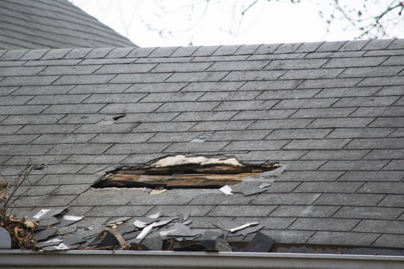 Broken Shingles and Cracks
